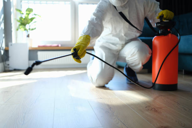 Pest Control Cost in Homeland, CA